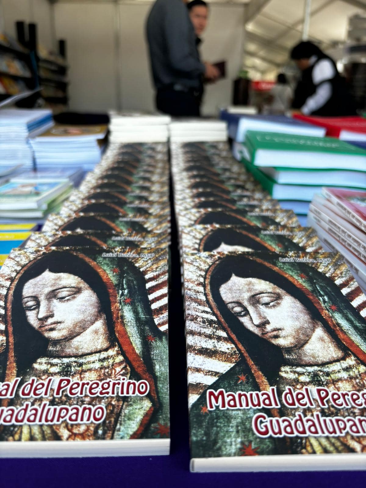 libro manual del peregrino